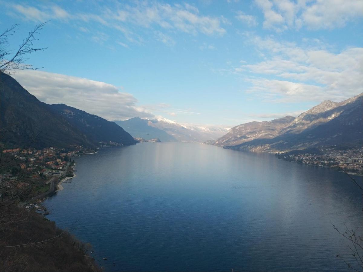 Apartment A Lago Private Beach And Parking Oliveto Lario Екстериор снимка