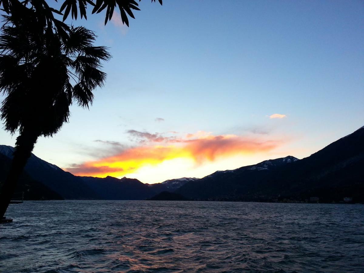 Apartment A Lago Private Beach And Parking Oliveto Lario Екстериор снимка